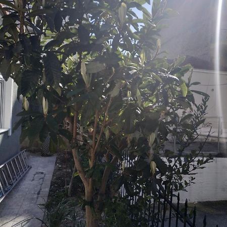 Agelikis' Apartments Nea Kallikrateia エクステリア 写真